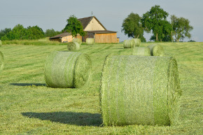 Heu-Rundballen auf der Wiese