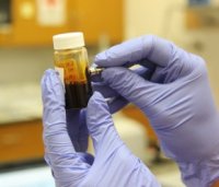 Hände mit Gummihandschuhen und Reagenzglas