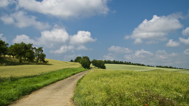 Feldweg Weg durch Getreidefelder unter blauem Himmel